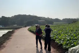 老祖宗留下的果然好东西，冬天用这种老式背带背娃儿太热火了视频封面