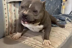 拷打自然流，一个视频让你看懂什么是自然流 春天到了