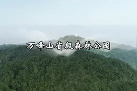 #邻水万峰山省级森林公园，位于邻水县柑子镇，此处自然风光秀丽