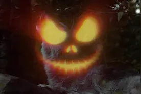 #神奇动物在抖音 #恐怖 恐怖的狼群嚎叫！起码十几只