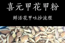#花甲粉 怎么去养花甲.让花甲吐沙流程.#餐饮创业 #老板娘日常