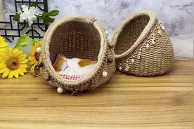 你的喵喵想要你亲手制作的#猫窝，听说会更香哈#麻绳手工