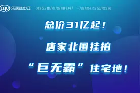 🍔珠海唐家北围挂拍“巨无霸”地块！#土拍 #珠海视频封面