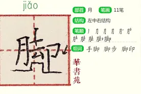 “脚”二年级上册同步生字教学视频封面