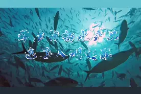 非法捕捞水产品，也要入刑定罪。滇池禁渔，功在当代，利在千秋。视频封面