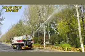 淄博张店区城管开始行动，为抑制飞絮视频封面