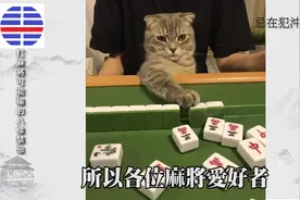 麻将娱乐，一定要知道的风水！#麻将视频封面