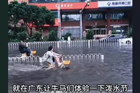 #广东这雨下得人都内向了 就算广东落刀，牛马们还得继续上班视频封面