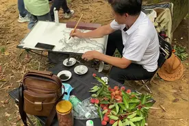 高州荔枝贡园有一颗荔枝树拍卖价138万和一粒荔枝288元的天价老…视频封面