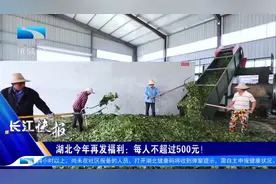 湖北今年再发福利：每人不超过500元！