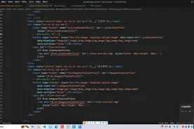 关于fastadmin在线数据录入与编辑的实际案例技巧问题