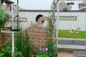 北方庭院最适合的②种花，花期最长，地栽盆栽都皮实好活的过来看