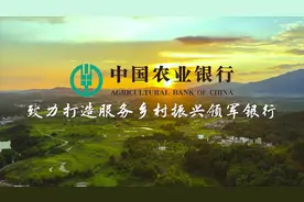 中国农业银行致力打造服务乡村振兴领军银行视频封面