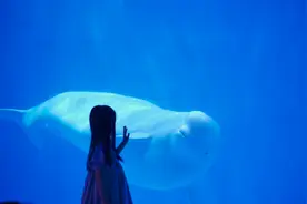 海洋馆拍摄小技巧#蓝色治愈系 #海洋馆 #小雨朵 #摄影