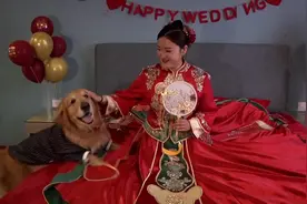 让狗狗参与到婚礼中真的是非常有意义的一件事情视频封面