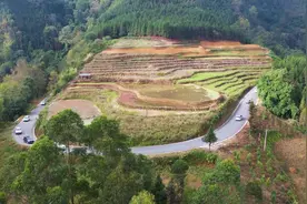 哈尼族婚俗纪实——嫁娶 #少数民族婚礼 #少数民族文化视频封面