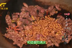 为什么老话说“一鸽顶九鸡”？！是真的有道理视频封面