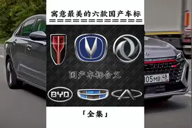 盘点寓意最美的六款国产车标#车标视频封面