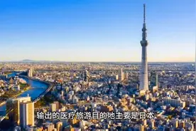 #中国海外医疗中介服务行业前瞻与投资战略分析报告视频封面