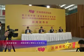 助农新举措——网络销售让樱桃红的更艳丽视频封面