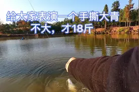 冬季作钓黑坑青鱼，短杆长线跑铅钓法，逗钓其实也很重要#钓鱼人