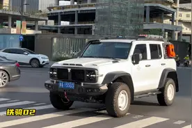 坦克300到底有多少种版本能认全吗？风林铁骑，赛博坦克