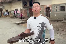 #贡木 这种来自巴布亚地区的贡木、油性高的居然和蜜糖一样