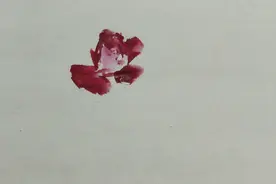 干货 月季花画法#热门#写意花鸟#国画教程#谁说国画不抖音#学画画