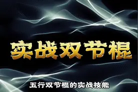 《五行双节棍实战教学片》#非遗刘家拳刘武 #危险动作请勿模仿视频封面