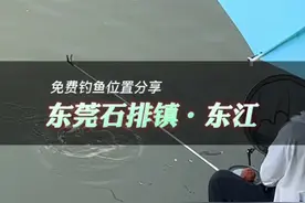 东莞石排镇东江钓海竿的好去处推荐！#2022dou来钓鱼