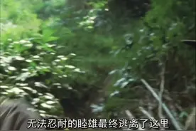 （三）小日子患肺结核不能参军，竟然一夜屠掉30人的村子#视频封面