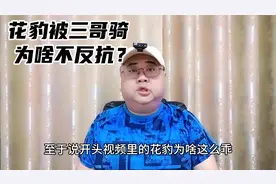 花豹和人单挑，人类有可能赢吗？#神奇动物在抖音 #冷知识