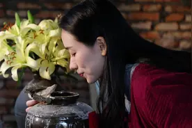 早在周代，古人就对动物的皮制胶有比较精细的研究和分类，视频封面