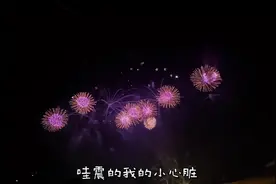 百分之九十九的人都不知道的迪士尼看烟花㊙️位置！#上海迪士尼