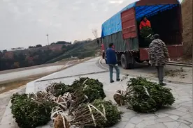 广水的乡亲总说广水跟到随州冒的发展，冒沾一点光