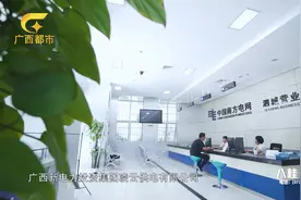 八桂之窗-广西新电力投资集团凌云供电有限公司视频封面