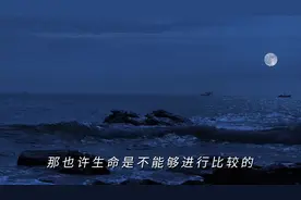 电车难题解析#罗翔 #哲学视频封面