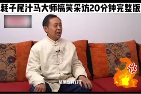 不讲武德耗子尾汁，马大师搞笑采访逗了记者20分钟完整版视频封面