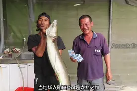 小伙在小溪捕鱼，意外捕获一条40斤的巨型河鳗#户外捕鱼