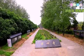 涉故台 大泽乡 陈胜吴广 柘龙树 西寺坡 安徽省古迹#历史古迹