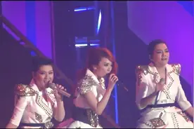 自2010年Selina烧伤后，SHE在2012年23届金曲奖首都合体表演