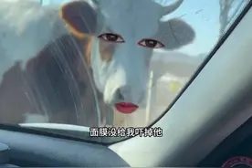 牛：拍了它就不能拍我了吧…#搞笑配音#搞笑#离谱#吐槽