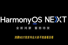 华为鸿蒙NEXT系统级一键关闭所有广告，开屏一去不复返#鸿蒙next