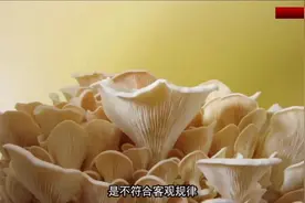 游戏也能学知识，米哈游世界里的债务重组视频封面