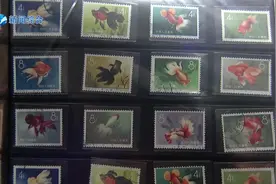 很多人喜欢集邮，一直以来，邮票跟股票一样也被炒来炒去视频封面