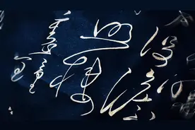 “曾经百战喧天地,一夜孤行惑古今” #历史 #书法