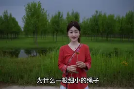 小时候不懂，为什么一根细小的绳子可以拴住一头牛让其劳作一生