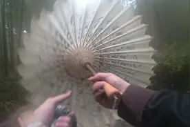 独自走在这悠长悠长的竹林里.#书法日常#瘦金体#油纸伞#意境视频封面