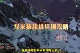 WLK双采超详细攻略，插件设置教程，赶快学起来把 #魔兽双采视频封面