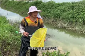 鱼笼被人偷了，这次小何要抓多少鱼才能把笼子买回来 #地笼视频封面